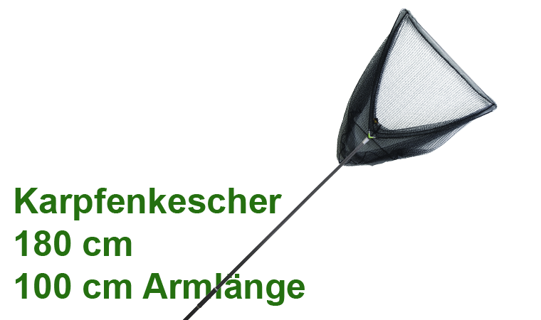 Angebot 1